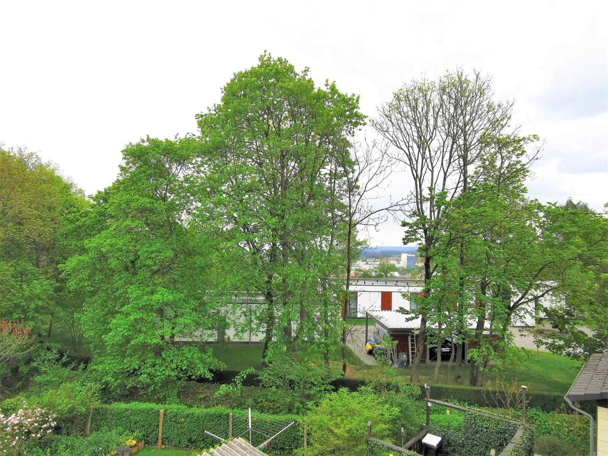 Bohnapartments - Stadtblick Zechenhaus - Balkon - Gratis Parkplatz - Wlan - Sehr Ruhig - Barrierearm Ilmenau Eksteriør billede