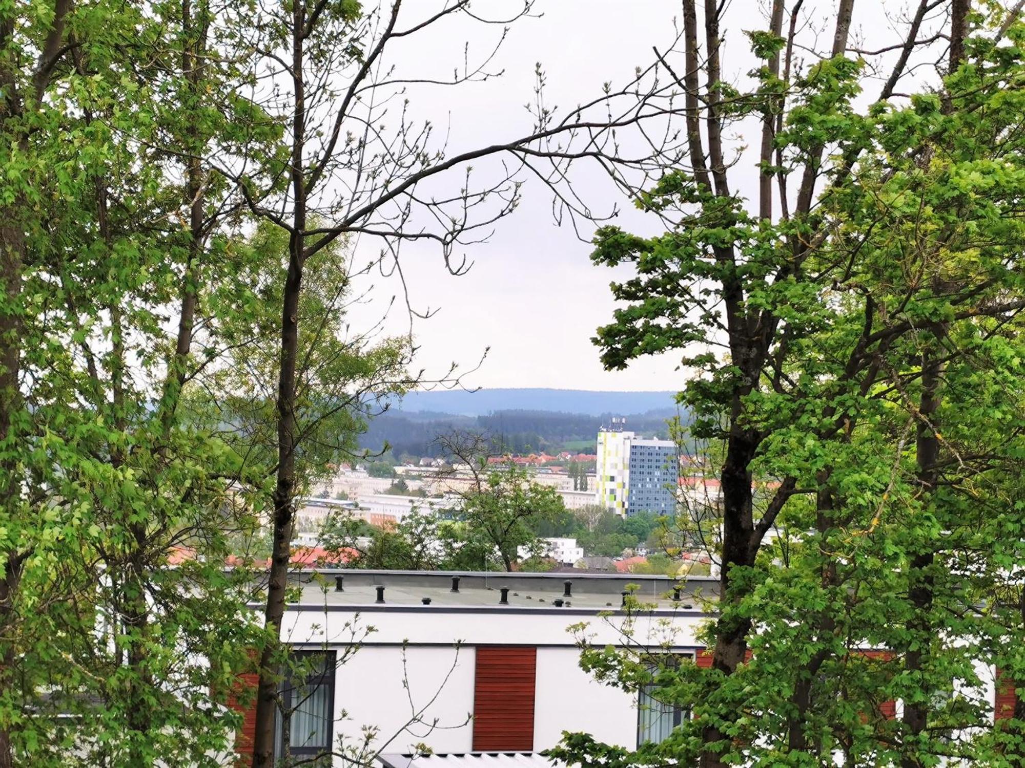 Bohnapartments - Stadtblick Zechenhaus - Balkon - Gratis Parkplatz - Wlan - Sehr Ruhig - Barrierearm Ilmenau Eksteriør billede